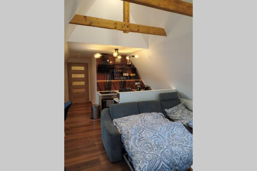 Apartman Ateliér Vary v nově zrekonstruovaném domě Karlovy Vary Esterno foto