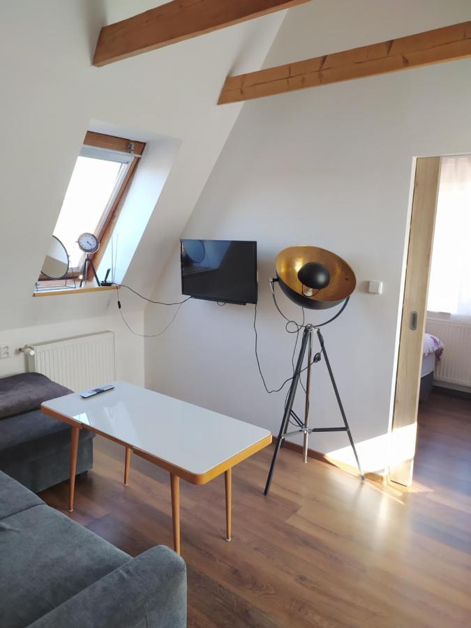 Apartman Ateliér Vary v nově zrekonstruovaném domě Karlovy Vary Esterno foto
